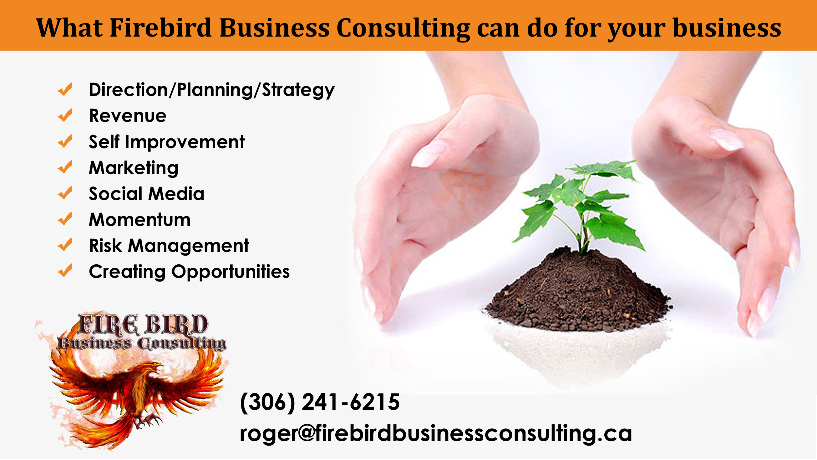 Firebird Business Consulting Ltd – Sales Training Services – Business Development – Sales Consulting – Sales Development – Revenue Growth – Better Profits – Saskatoon