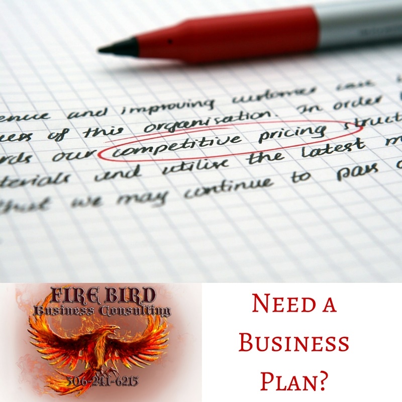 RFP’s, Grant and Business Plan Writer Services – Firebird Business Consulting Ltd. – Saskatoon – Regina – Sask. Canada