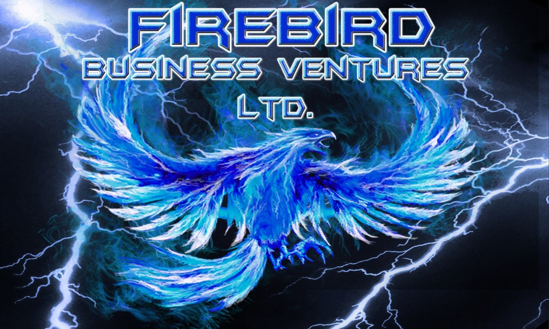 Firebird Business Ventures Ltd – Business Incubator – Business Accelerator – Saskatoon – New Website