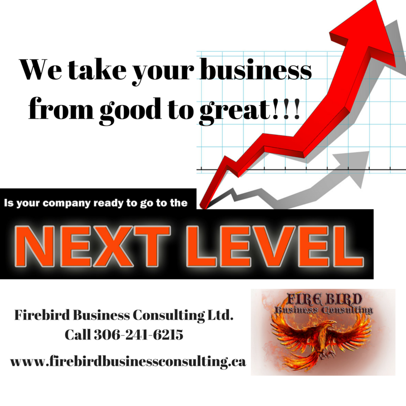 Revenue Growth Consulting and Strategies – Firebird Business Consulting Ltd. – Saskatoon – Saskatchewan – Canada – United States