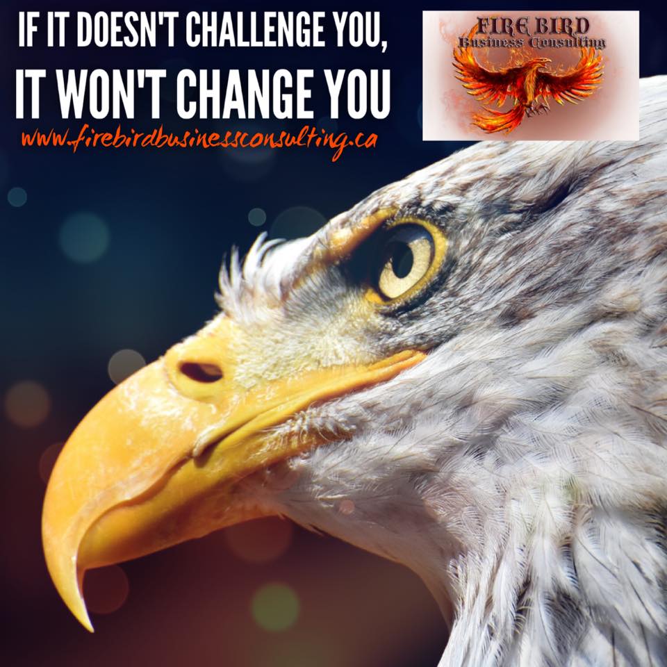 If it doesn’t challenge you, it won’t change you – Firebird Business Consulting Ltd – Saskatoon