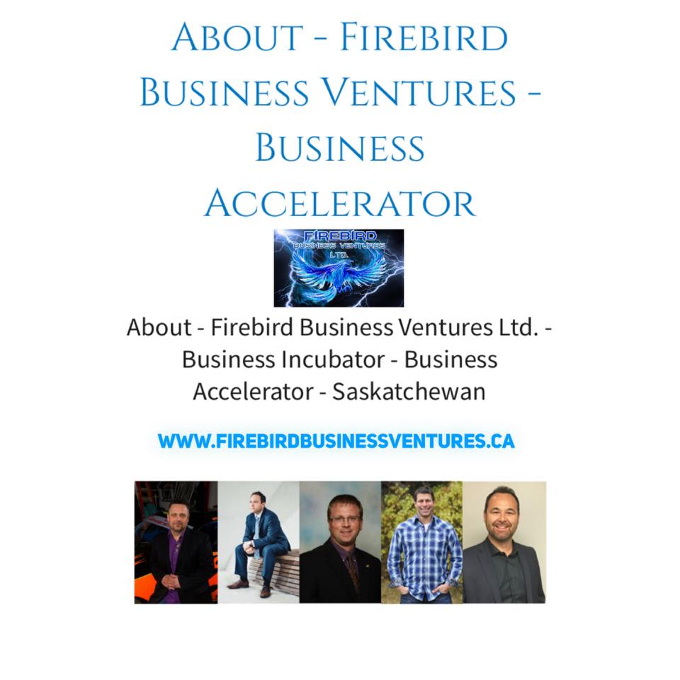 About – Firebird Business Ventures Ltd – Senior Management Team – Business Accelerator – Business Incubator