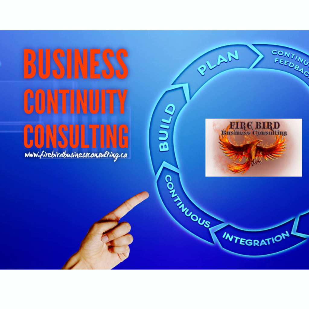 Firebird Business Consulting Ltd. - Saskatoon - Prince Albert, Regina - Warman - Prince Albert - Saskatchewan - Kingston - Toronto - Ontario