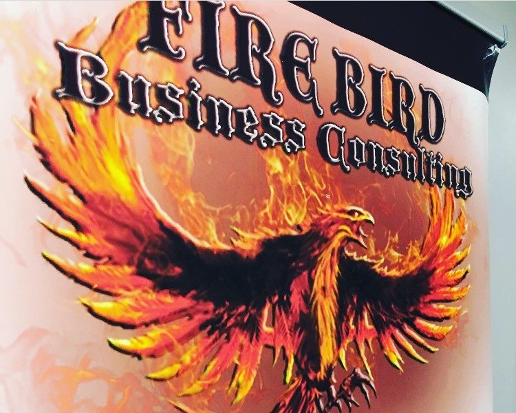 Management Consulting – Firebird Business Consulting Services – Saskatoon, Regina, Saskatchewan – Kingston, Ontario