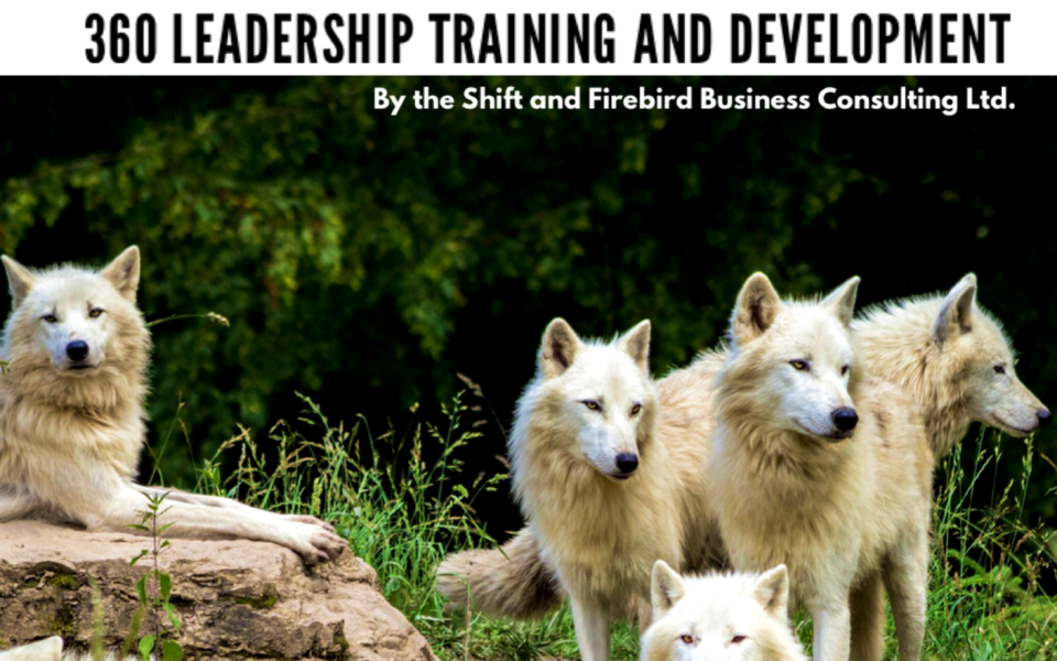 360 Leadership Development Training – The Shift Counselling Services & Firebird Business Consulting – Saskatoon – Regina